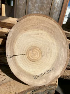 Eucalyptus